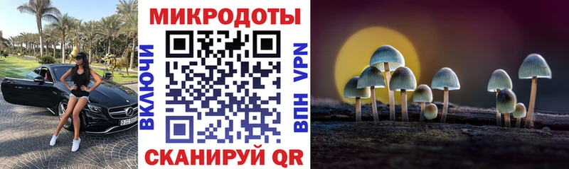 Псилоцибиновые грибы Psilocybine cubensis  Купить  Крымск 