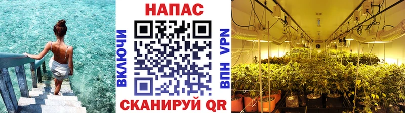 Купить Крымск МАРИХУАНА тримм